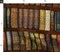 Library Shelves Photographic Victorian Old World Books Literary Book Fancy Custom Printed Fabric by Spoonflower Various Fabrics by the Yard or Fat Quarter